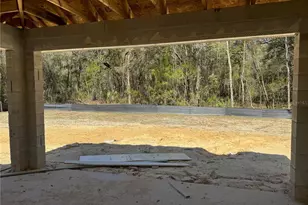 411 W Eridani Ct, Citrus Springs, FL 34434 - Photo 47