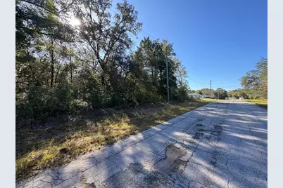 10241 N Halsey Way, Dunnellon, FL 34434 - Photo 3