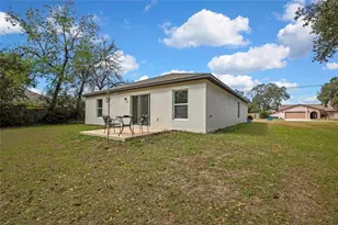 446 Leafy Way Ave, Spring Hill, FL 34606 - Photo 43