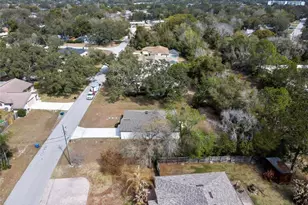 446 Leafy Way Ave, Spring Hill, FL 34606 - Photo 53