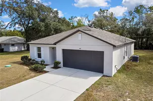 446 Leafy Way Ave, Spring Hill, FL 34606 - Photo 49