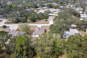 446 Leafy Way Ave, Spring Hill, FL 34606 - Photo 55