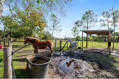 3262 Pheasant Trail, Mims, FL 32754 - Photo 75