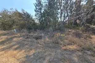 240 Elm Ct, Poinciana, FL 34759 - Photo 1