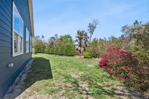37008 Forestdel Dr, Eustis, FL 32736 - Photo 35