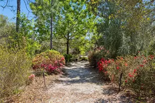 37008 Forestdel Dr, Eustis, FL 32736 - Photo 39