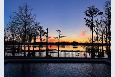 6113 Payne Stewart Drive, Windermere, FL 34786 - Photo 3