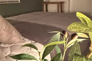 3305 Tranquil Trl, Kissimmee, FL 34747 - Photo 17