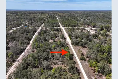 Ne 65th Street, Williston, FL 32696 - Photo 5