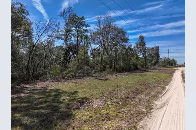 Ne 65th Street, Williston, FL 32696 - Photo 11