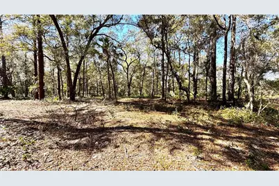 Lincoln Road, Deland, FL 32724 - Photo 5