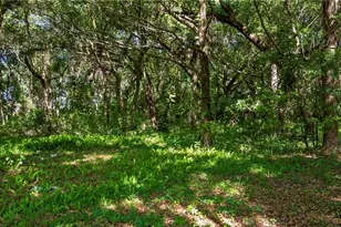 1500 N Hoagland Blvd, Kissimmee, FL 34741 - Photo 23