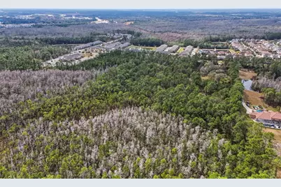 13887 Reams Road, Windermere, FL 34786 - Photo 17