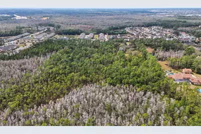 13887 Reams Road, Windermere, FL 34786 - Photo 19