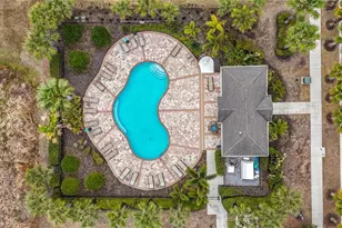 10927 Verawood Dr, Riverview, FL 33579 - Photo 83