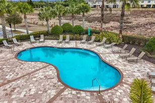 10927 Verawood Dr, Riverview, FL 33579 - Photo 79