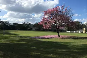 1235 Tadsworth Terrace, Lake Mary, FL 32746 - Photo 55