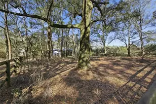 19 Northern Dancer Dr, Ocala, FL 34482 - Photo 49