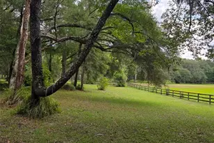19 Northern Dancer Dr, Ocala, FL 34482 - Photo 55