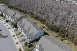 2564 Sedge Grass Wy, Orlando, FL 32824 - Photo 33