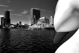 150 E Robinson St, Orlando, FL 32801 - Photo 37