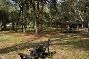 23404 Hobdy Rd, Sorrento, FL 32776 - Photo 39