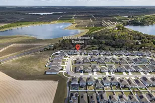 6922 Perch Hammock Loop, Groveland, FL 34736 - Photo 43
