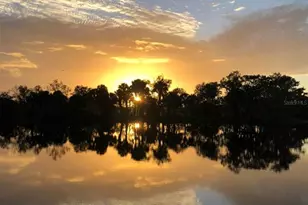 1129 Lemon Bluff Rd, Osteen, FL 32764 - Photo 29