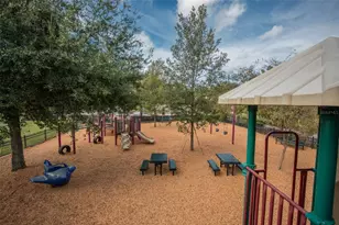 3715 Safflower Terrace, Oviedo, FL 32766 - Photo 45