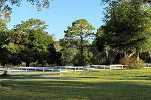 33015 Sahara Ct, Sorrento, FL 32776 - Photo 43