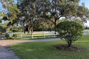 33015 Sahara Ct, Sorrento, FL 32776 - Photo 49