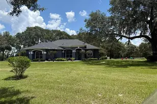 33015 Sahara Ct, Sorrento, FL 32776 - Photo 71