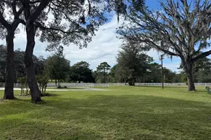 33015 Sahara Ct, Sorrento, FL 32776 - Photo 77