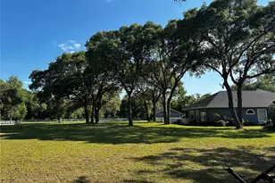 33015 Sahara Ct, Sorrento, FL 32776 - Photo 29