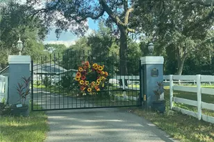 33015 Sahara Ct, Sorrento, FL 32776 - Photo 23