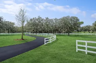 33015 Sahara Ct, Sorrento, FL 32776 - Photo 17