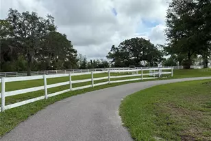 33015 Sahara Ct, Sorrento, FL 32776 - Photo 45