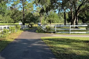 33015 Sahara Ct, Sorrento, FL 32776 - Photo 39