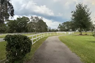 33015 Sahara Ct, Sorrento, FL 32776 - Photo 57