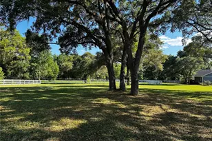 33015 Sahara Ct, Sorrento, FL 32776 - Photo 21