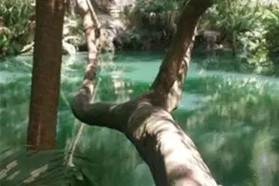 120 Hibiscus Woods Ct, Deltona, FL 32725 - Photo 3