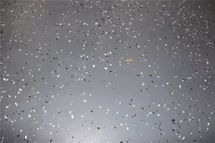 2215 Ashland Blvd, Orlando, FL 32808 - Photo 49