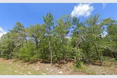 1950 Cr 243B, Wildwood, FL 34785 - Photo 1