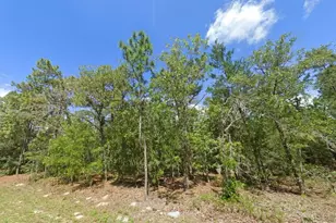 1950 Cr 243B, Wildwood, FL 34785 - Photo 1