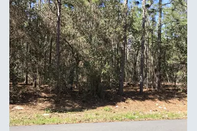 1950 Cr 243B, Wildwood, FL 34785 - Photo 7