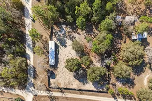 1250 NE 123rd Ave, Williston, FL 32696 - Photo 15