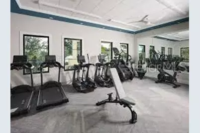 7329 Boggy Creek Place, Parrish, FL 34219 - Photo 47