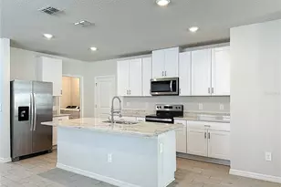 7329 Boggy Crk Pl, Parrish, FL 34219 - Photo 9