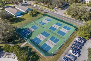 8002 Arcadian Ct, Mount Dora, FL 32757 - Photo 37