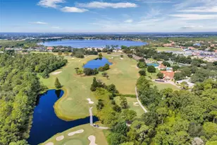 8002 Arcadian Ct, Mount Dora, FL 32757 - Photo 47